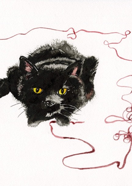 Histoires de bêtes, spectacle visuel et musical de 4 à 104 ans - Culture et spectacles