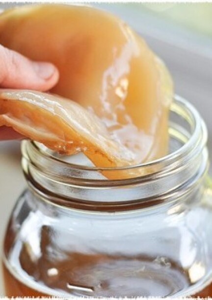 Boisson fermentée : KOMBUCHA - Ateliers et stages - La Julienne - Maison des arts et de la culture - Salle de la Mansarde 2e étage