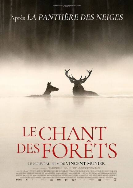 Le Chant des forêts (VF) - Cinéma - Allianz Cinémas Genève