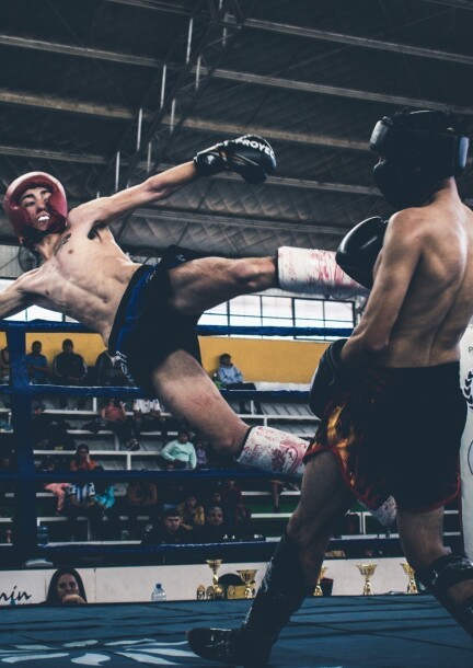 Séance d'essai - MMA - Sport - Elbaja Boxing Academy