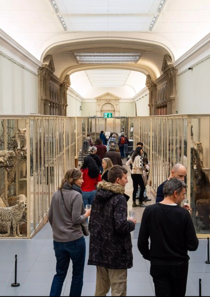 Le Musée des Gloutons - Balades et visites - Lausanne et Pully