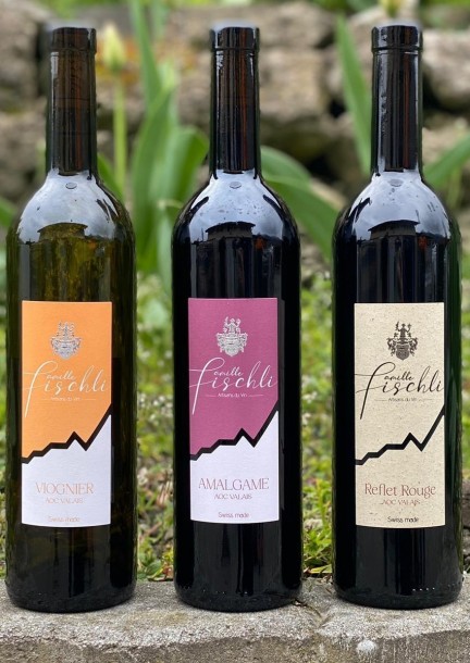 De la vigne au verre : une immersion dans le vignoble de Troistorrents - Ateliers et stages