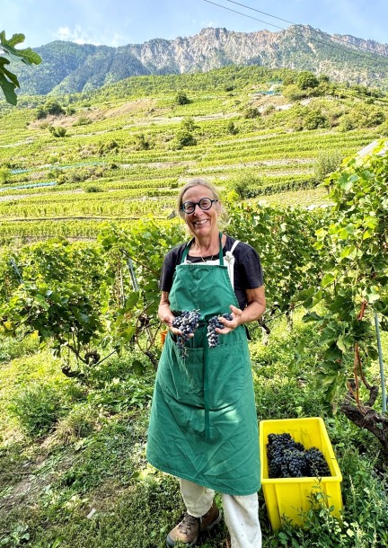 Accords vins-fromages 2025 chez Marie-Thérèse CHAPPAZ - Svaghi