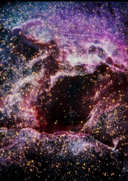 Avant première origines - Cinéma