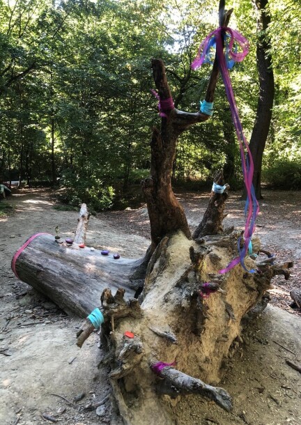 Atelier familles en nature - explorez votre lien au vivant - Ateliers et stages - Bois de la Bâtie