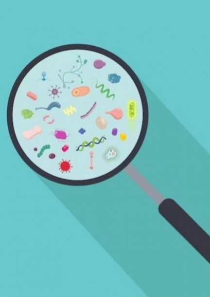 Tous publics dès 10 ans - Les microbes à la loupe : jouer pour comprendre le vivant (Bacttle) - Ateliers et stages - EPFL Rolex Learning Center - Espace Tinguely