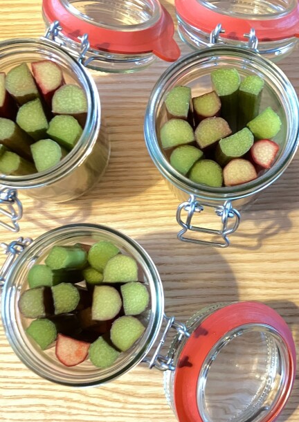 Lactofermentations de printemps (pré-vente à prix spécial) - Workshops und Praktika