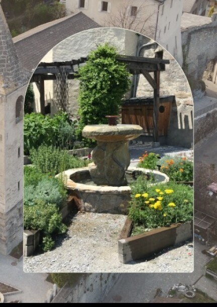 Visite guidée du jardin d'inspiration médiévale - Touren und Besuche - Jardin d'inspiration médiévale