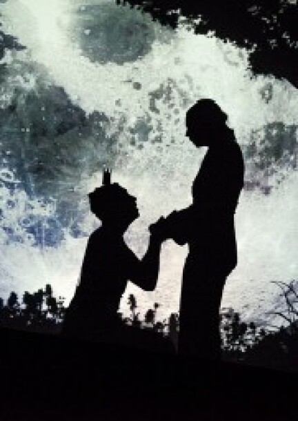 La princesse est le chevalier - Steven Matthews - Théâtre et arts vivants - Usine à Gaz - Salle 2