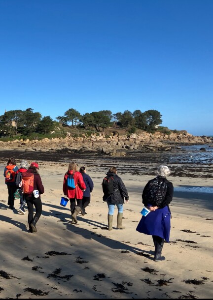 Les algues au souffle de l'Océan: Equinoxe d'automne en Bretagne - Ateliers et stages - Île Callot, Bretagne