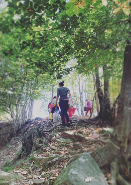 ADULTI - Passeggiata di erboristeria ecologica - Training courses - Selva di Lelgio - Aula didattica di Castensago (Lelgio)