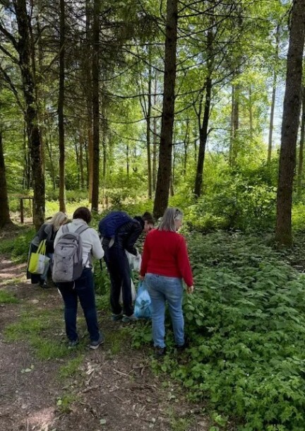 Cueillette et cuisine de plantes sauvages - Ateliers et stages - Château d'Echandens