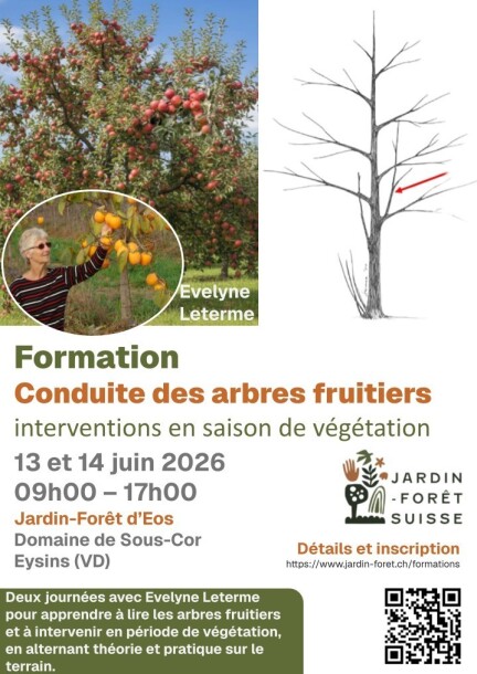 Formation - La conduite des arbres fruitiers – interventions en saison de végétation - Formations - Jardin-Forêt d'Eos
