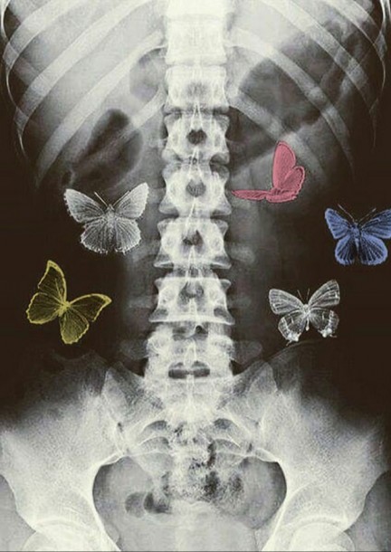 Des Ailes dans la Nuit - Culture et spectacles - Distillerie Morand