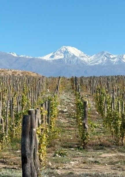 Grands Malbecs d'Argentine | Les dégustations de la Foire - Loisirs - Foire du Valais, Espace Gourmand, stand 4408