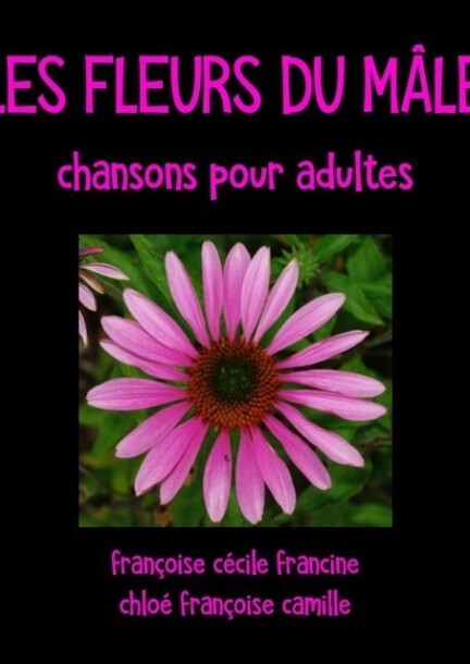 Les Fleurs du Mâle - Concerts - Café-Théâtre de la Voirie