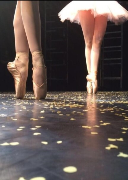 Spectacle de danse Isabella Padovani: Casse-Noisette - Danse - BFM (Bâtiment des Forces Motrices)