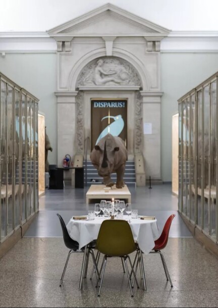 La Table au Musée - Loisirs - Palais de Rumine