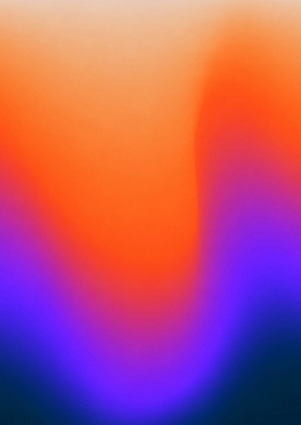 LE NOEL DE L'ARBRE - Culture and shows