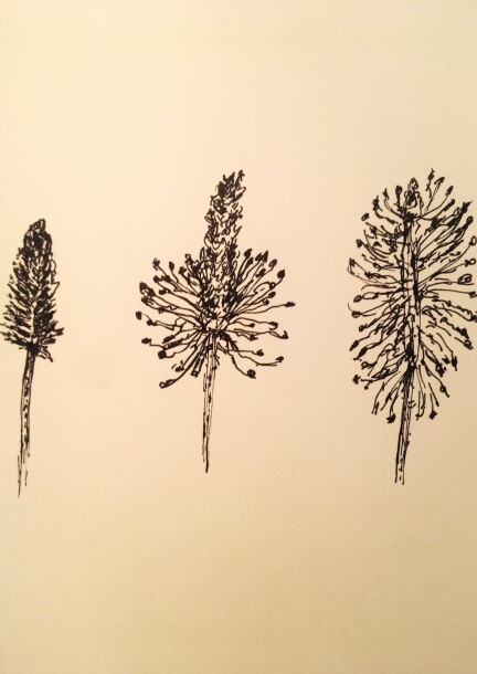 Materia Botanica au jardin - Workshops and courses - Fribourg