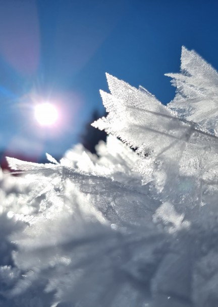 Le manteau de neige - Festivals