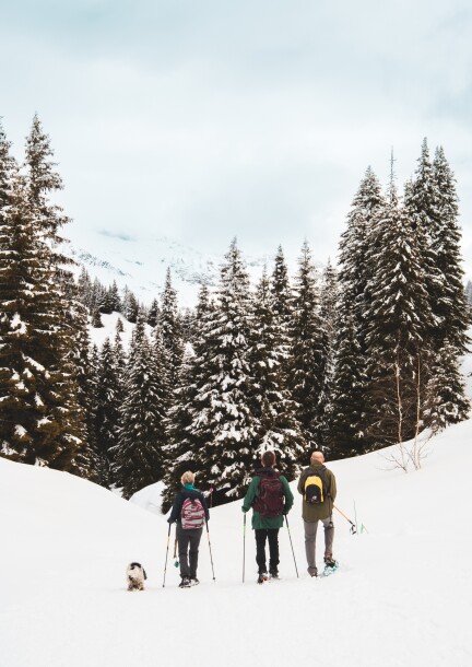 Groupe de 10h45 (pour le train de 11h15) - Camminate e visite - Place du Marché - Villars