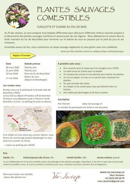 Journée cueillette et cuisine des plantes sauvages - Pied du Jura - 25-04-2026 - Ateliers et stages