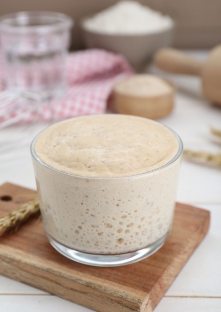 Atelier levain - Formazioni