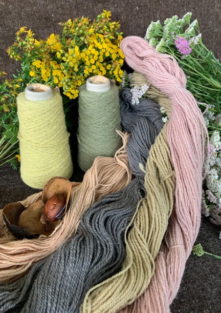 Découverte de la teinture végétale - Workshop e stage
