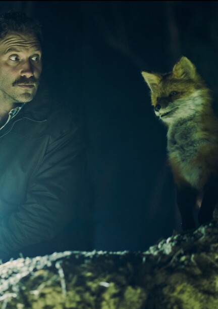 The Fox - Cinéma - Rex 1