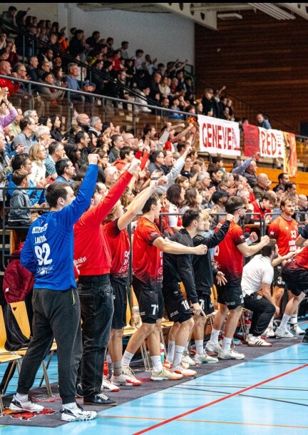 Match de handball championnat LNB 16ième journée  Chênois Genève Handball vs Wädenswill - Sport