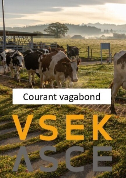 Courant vagabond -  3 septembre 2026 - Schulungen - Ancien stand de tir