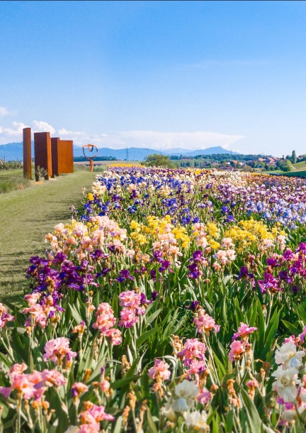 Printemps 2024 - Loisirs - Château de Vullierens