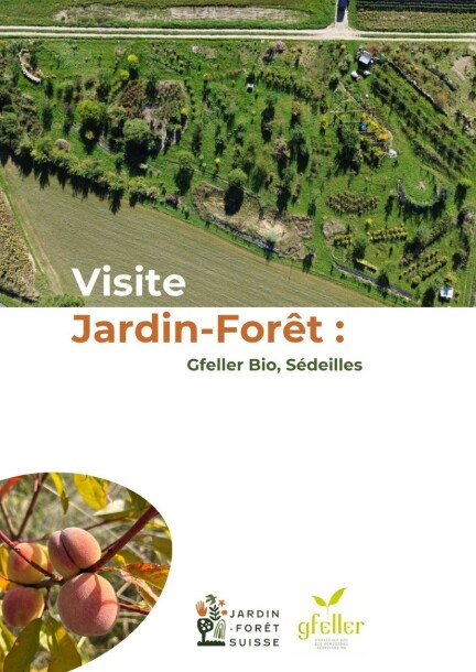 Visite du jardin-forêt GfellerBio - Touren und Besuche - Gfeller Bio