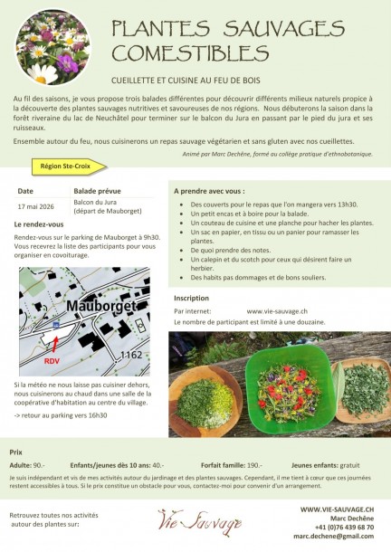 Journée cueillette et cuisine des plantes sauvages - Mauborget - Ateliers et stages