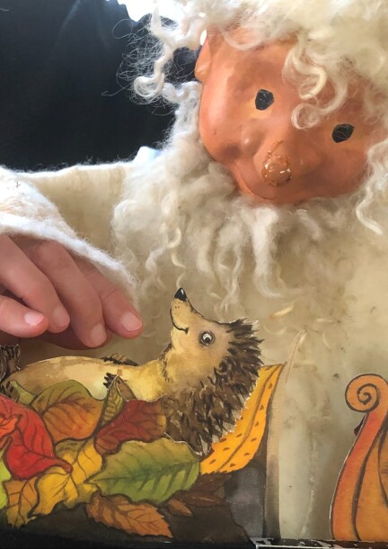 DANS LA FORÊT, IL Y A… — Spectacle pour enfants - Famille - Salle culturelle de l'Auberge des Vergers