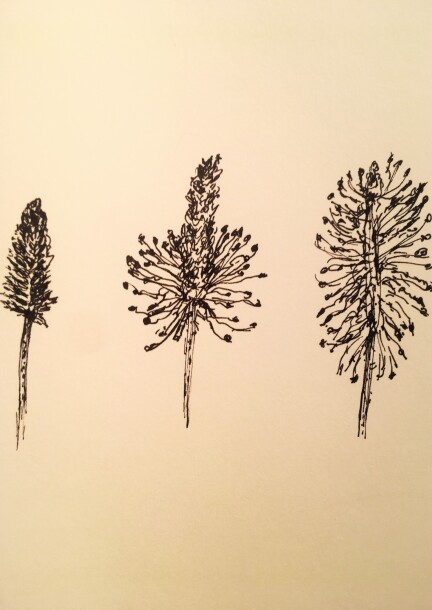 Materia Botanica au jardin - Workshops and courses - Fribourg