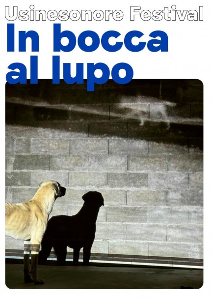 In bocca al lupo - Culture and shows