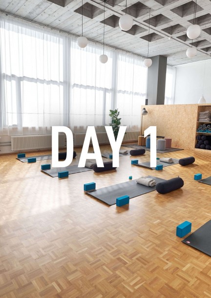 DAY 1 - Balance: The Missing Skill - Ateliers et stages - Gingembre, Biel/Bienne