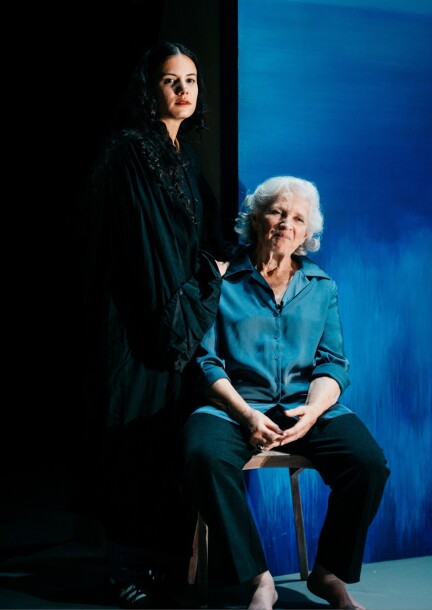 Gisèle Halimi, une farouche liberté - Theatre and performing arts