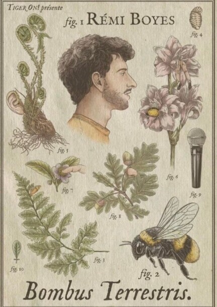 Rémi Boyes - Umorismo e commedia