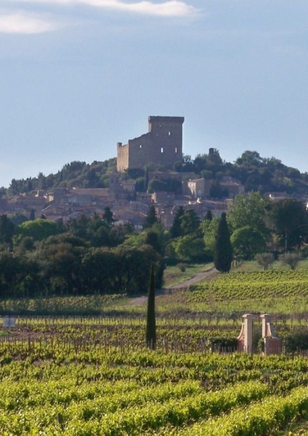La verticale | Châteauneuf-du-Pape | Les dégustations de la Foire - Svaghi