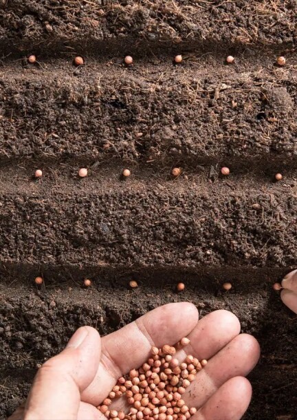 Repair Café - Couture & Banque aux graines - Workshops und Praktika - Matgesfeld