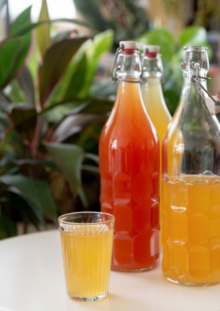 Atelier boissons lactofermentées - Formazioni