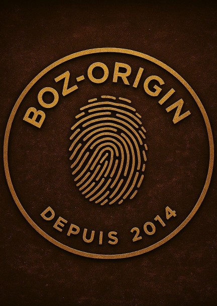LANCEMENT BOZ-ORIGIN - Conferences