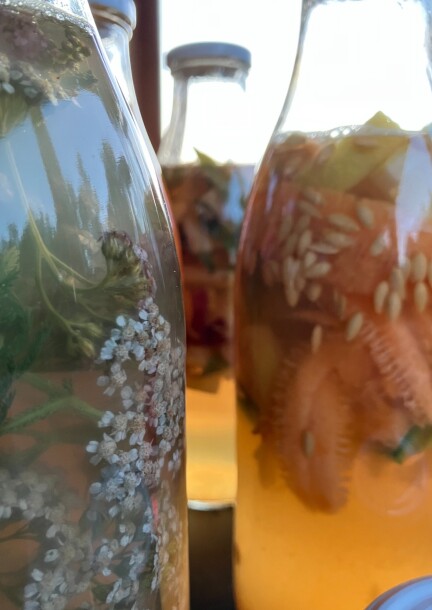 Atelier – Limonades lacto-fermentées à partir d’épluchures - Workshop e stage
