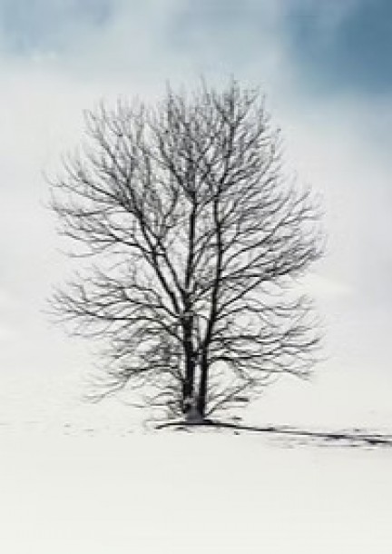Mercredis du conte - « D'hiver et de neige  » - Theater und Bühnenkunst