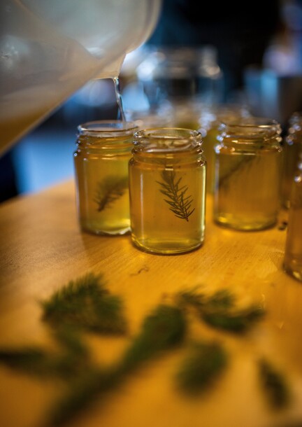 Les vertus de nos forêts - Ateliers et stages