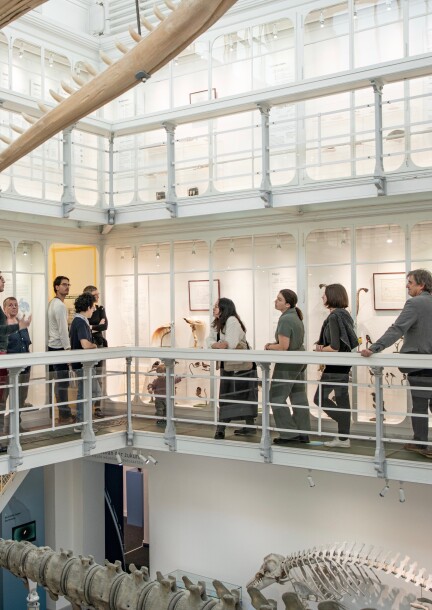 Balade biodiversité avec le FMAC - Paseos y visitas - Musée d'histoire naturelle