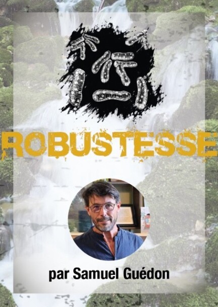 Rencontres d'Erguël - Robustesse - Conférences - Espace Noir